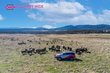 Property 1929 New England Highway, DUNDEE NSW 2370 IMAGE 0