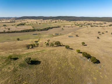 Property Mangoplah NSW 2652 IMAGE 0