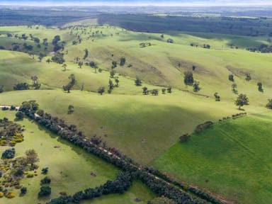 Property 25 Cox Road, Strathalbyn SA 5255 IMAGE 0