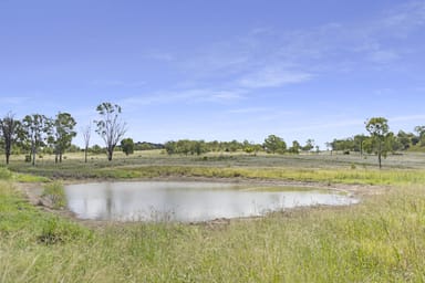Property 124 Lee Farm Road, Bushley QLD 4702 IMAGE 0