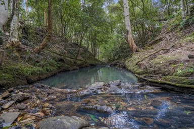 Property 2516 The Bucketts Way, Belbora NSW 2422 IMAGE 0