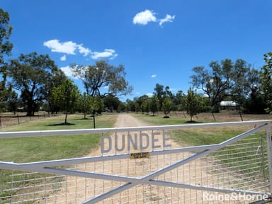 Property 154 Bendygleet Road, MOREE NSW 2400 IMAGE 0