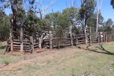 Property Lot A Forestry Road, Gurgeena QLD 4626 IMAGE 0