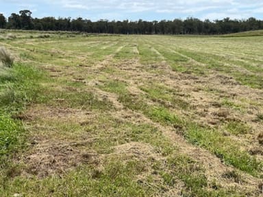 Property Proposed Lot 3 Cactus Ridge Road, Cunningham QLD 4370 IMAGE 0