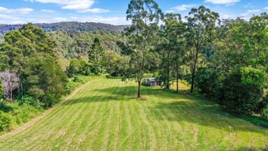 Property 4, 155 Lodge Road, NIMBIN NSW 2480 IMAGE 0