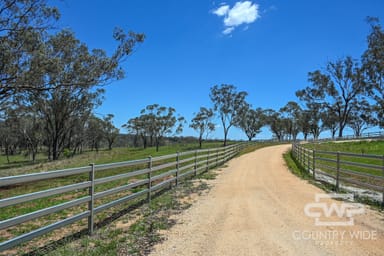 Property 1036 Rob Roy Road, INVERELL NSW 2360 IMAGE 0