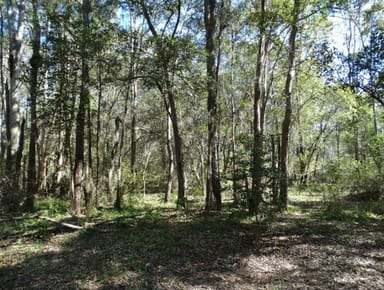 Property 208 Clarke Rd, Lowmead QLD 4676 IMAGE 0