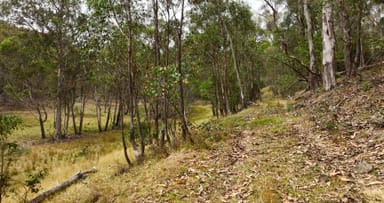 Property 175 Kangaroo Track, Omeo VIC 3898 IMAGE 0