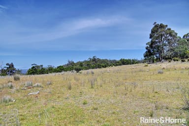 Property Lot 1 Bresnehans Road, Little Swanport TAS 7190 IMAGE 0