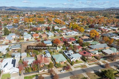 Property 379 Buckingham Street, North Albury NSW 2640 IMAGE 0