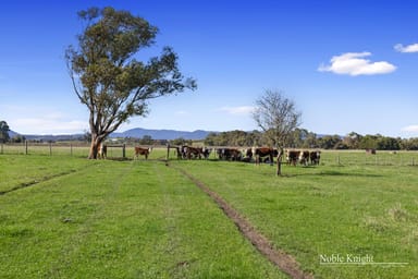 Property 1077 Melba Highway, Yarra Glen VIC 3775 IMAGE 0