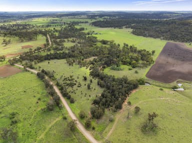 Property 117 Douglas-Plainby Road, DOUGLAS QLD 4354 IMAGE 0