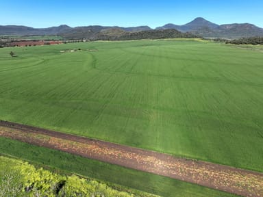 Property 118 Gratti Valley Road, NARRABRI NSW 2390 IMAGE 0