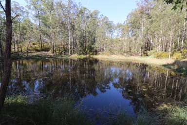 Property Lot 41 Collombatti Road, Collombatti NSW 2440 IMAGE 0