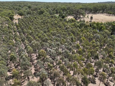 Property Lot 1 Carapooee Road, St Arnaud East VIC 3477 IMAGE 0