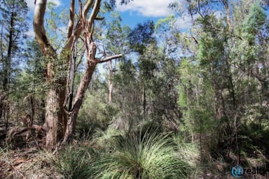 Property Lot 21 Pine Ridge Road, Condamine Farms QLD 4357 IMAGE 0