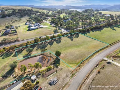 Property 4a Blackwood Drive, FORCETT TAS 7173 IMAGE 0