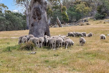 Property "Kheme Hill" Eastwood Road, YORK PLAINS TAS 7120 IMAGE 0