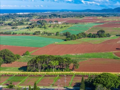 Property lot 12, 101 Cudgen Road, Cudgen NSW 2487 IMAGE 0