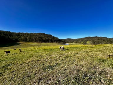 Property 3300 Great North Road, Wollombi NSW 2325 IMAGE 0