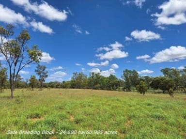 Property 6743 Dunrobin Road, Jericho QLD 4728 IMAGE 0