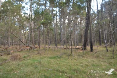 Property 121, Reserve Road, Sugarloaf QLD 4380 IMAGE 0