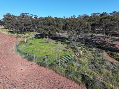 Property 'Kanembo' 13166 Newell Highway, WEST WYALONG NSW 2671 IMAGE 0