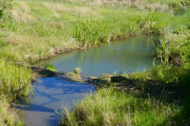 Property 532 Pines Road, Kyogle NSW 2474 IMAGE 0