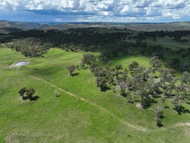 Property Lot 119/254 Losebys Road, Marulan NSW 2579 IMAGE 0