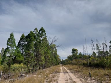 Property Lot 106 Hortons Road, Oman Ama QLD 4352 IMAGE 0