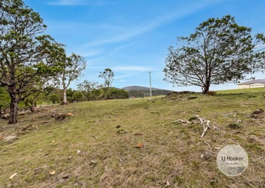 Property 287 George Street, DULCOT TAS 7025 IMAGE 0