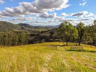 Property 237 Norwood Lane, MOUNT GEORGE NSW 2424 IMAGE 0