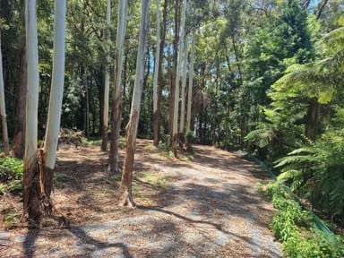 Property 11 Gwongorella Parade, SPRINGBROOK QLD 4213 IMAGE 0