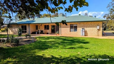 Property 1358 Cowalla Road, WANERIE WA 6503 IMAGE 0