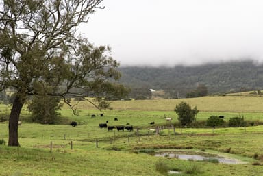 Property 680 Summerhill Road, VACY NSW 2421 IMAGE 0