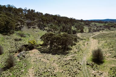 Property 22 Top Flat  Lane, Wamboin NSW 2620 IMAGE 0