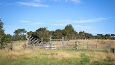 Property Lot 2 Turrong Rd, COORIEMUNGLE VIC 3268 IMAGE 0