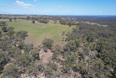 Property MERRIWA NSW 2329 IMAGE 0