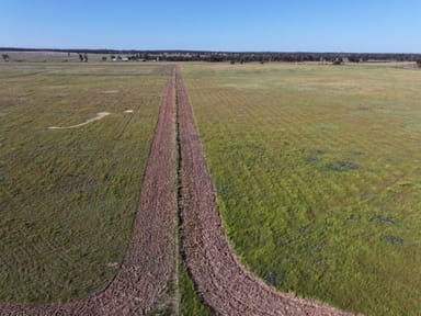 Property 'Kanembo' 13166 Newell Highway, WEST WYALONG NSW 2671 IMAGE 0