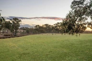 Property 133 Springvale Road, Lockwood South VIC 3551 IMAGE 0