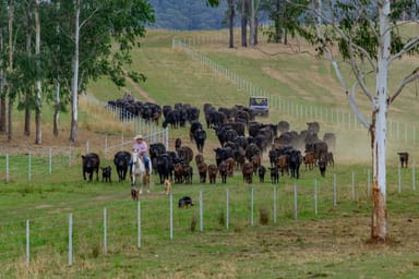 Property 276 Farm Road, BONALBO NSW 2469 IMAGE 0