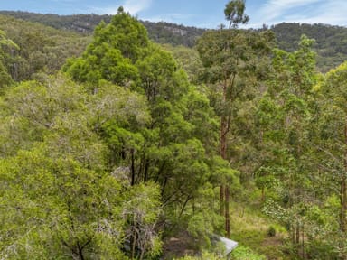 Property Lot 1 Waterfall Creek Road, Maroon QLD 4310 IMAGE 0