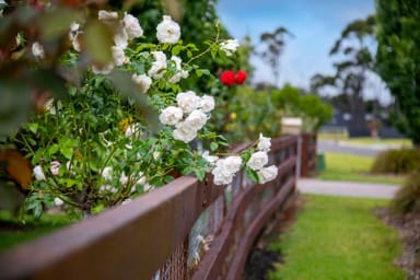 Property 3 Emerald Court, Colo Vale  IMAGE 0