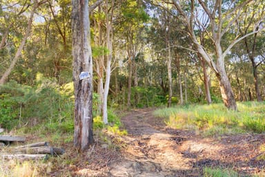 Property 20 James Norton Road, Bensville NSW 2251 IMAGE 0