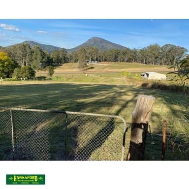 Property 19 Easton St, Bundook NSW 2422 IMAGE 0