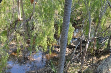 Property Darwin River NT 0841 IMAGE 0