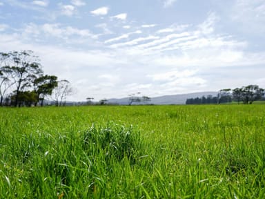 Property Lot 2 Westwoods Road, ROWELLA TAS 7270 IMAGE 0