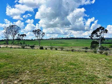 Property 418 MIHI Road, URALLA NSW 2358 IMAGE 0