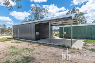 Property 12, Younghusband Holdings Road, YOUNGHUSBAND SA 5238 IMAGE 0