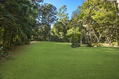 Property 3376 Nerang Murwillumbah Road, NATURAL BRIDGE QLD 4211 IMAGE 0